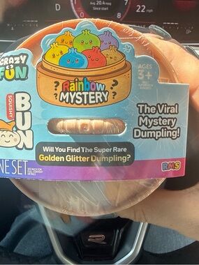 Rainbow Mystery Squishy Bun - Multi Color